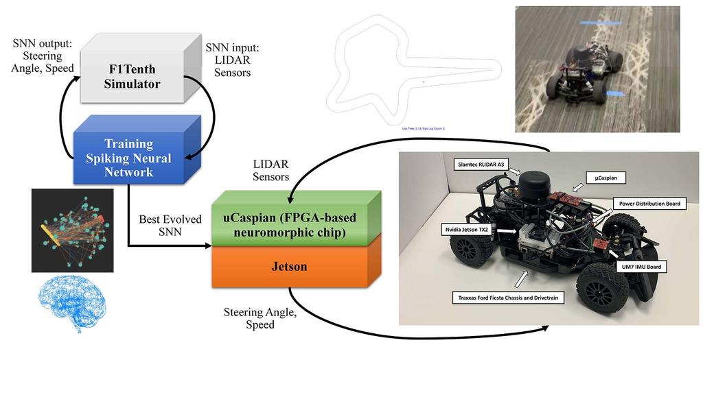 Diagram explaining the neuromorpho learning feature of robot swarms