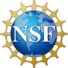 National Science Foundation logo with gold emblem